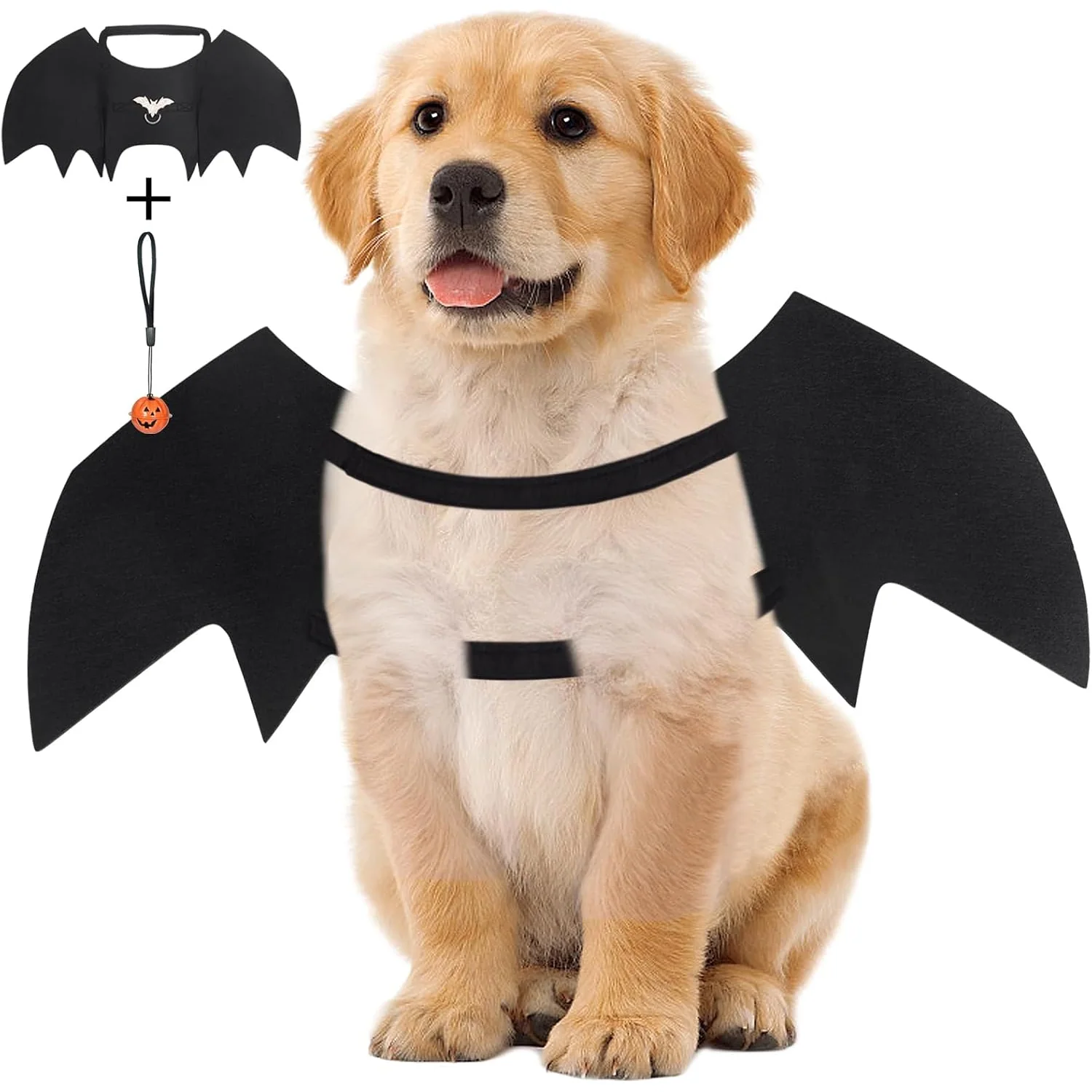 Vivifying Halloween Dog Bat Wings, wings, s