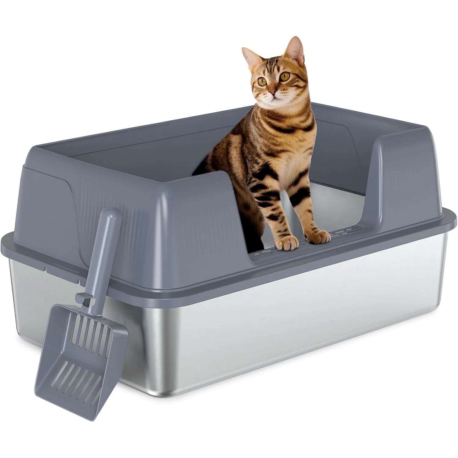 Vivifying High-Sided Open Stainless Steel Litter Box, xl, 23 x 14.5 x 10 in