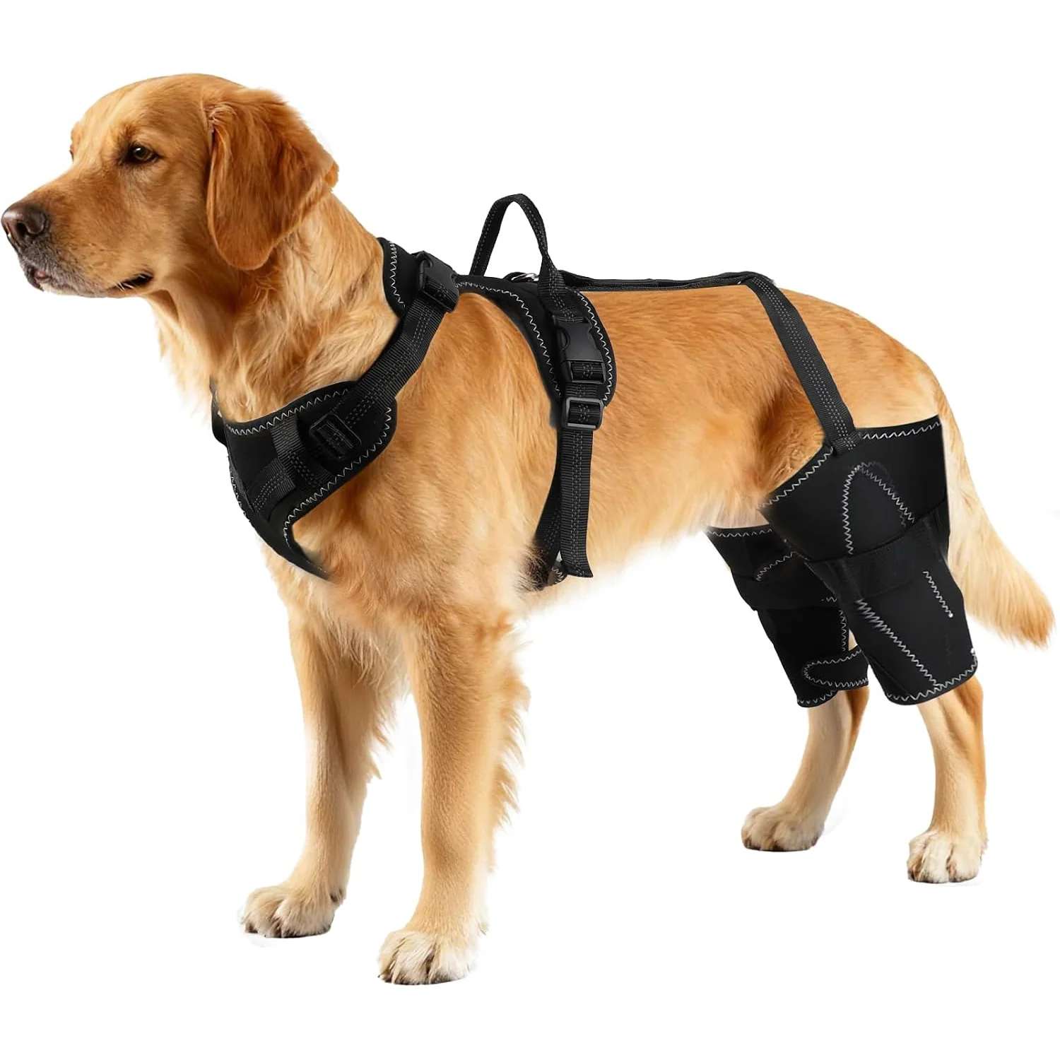 Vivifying Dog Hip and Leg Support Harness, l